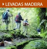Levadas Walks
